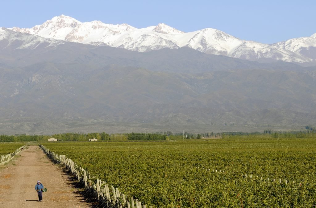 Rutas del Vino en Descubre, Andes