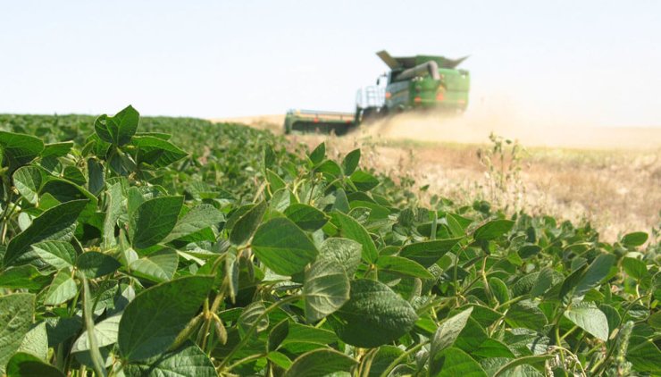 Un sector clave del agro proyecta campaña récord y prevé un aluvión de dólares en El Cronista, Economía