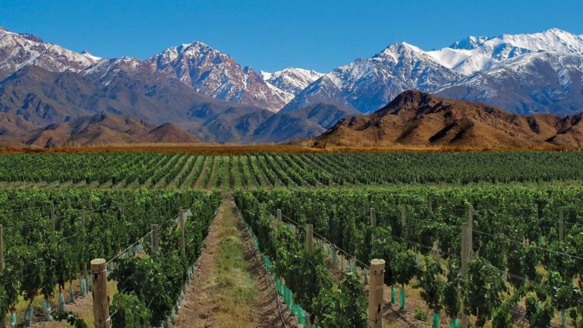 Rutas del Vino en Explora, Mendoza