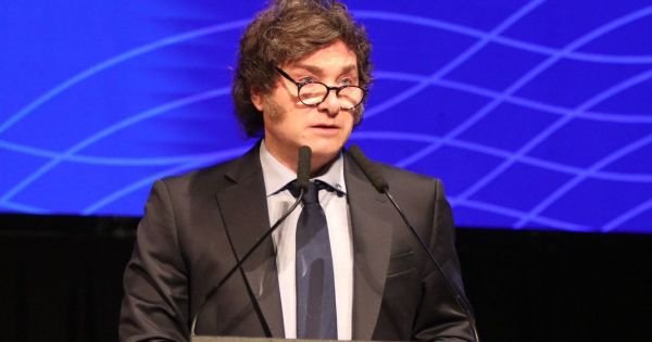 Milei dividido en El Cronista, Economía