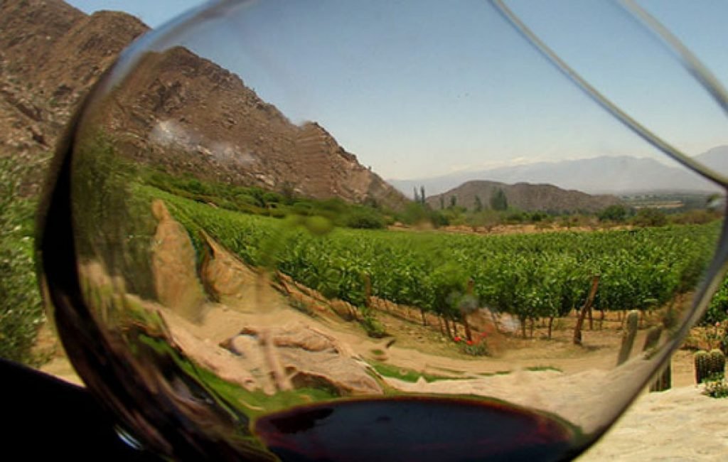 Los Caminos del Vino en Descubre, Mendoza