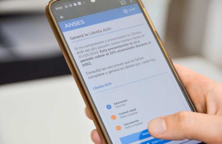 Ultimátum de ANSES en El Cronista, Información General