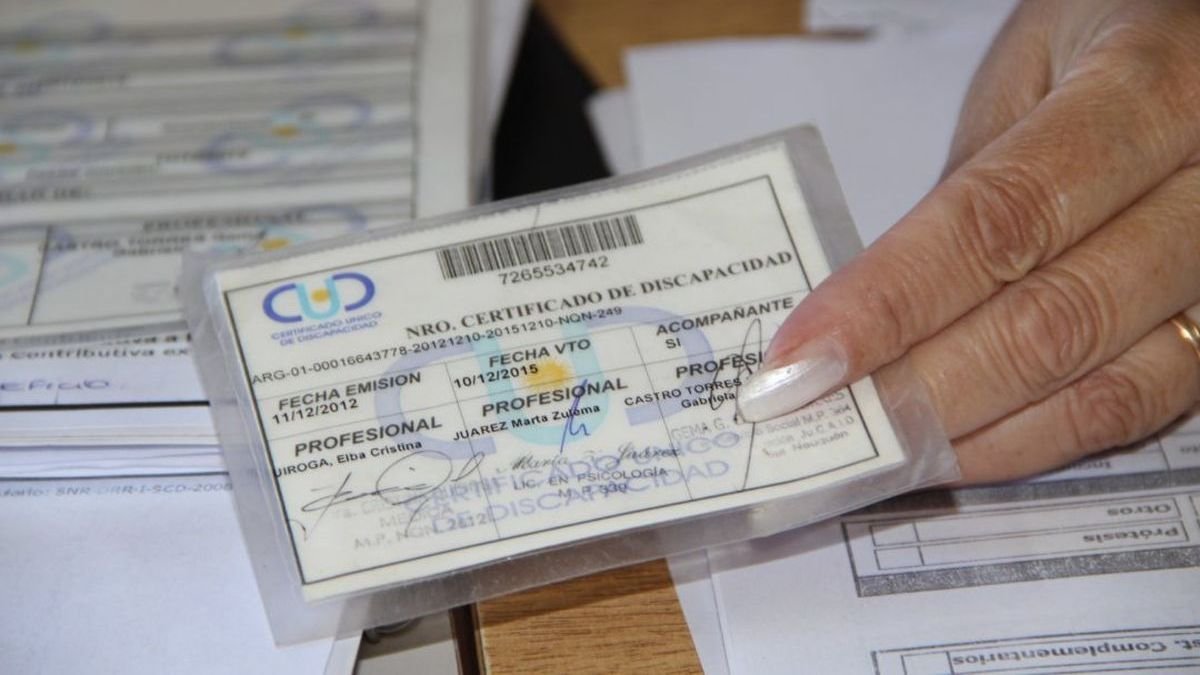 Chau Certificado Único de Discapacidad en El Cronista, Economía