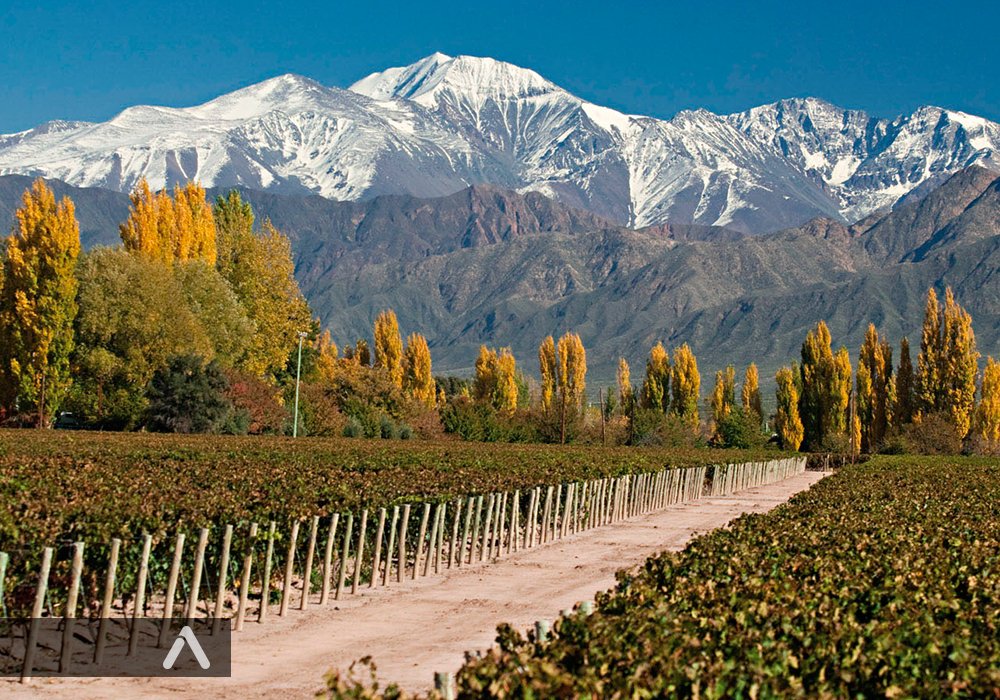 Rutas de Vino en Explora, Mendoza
