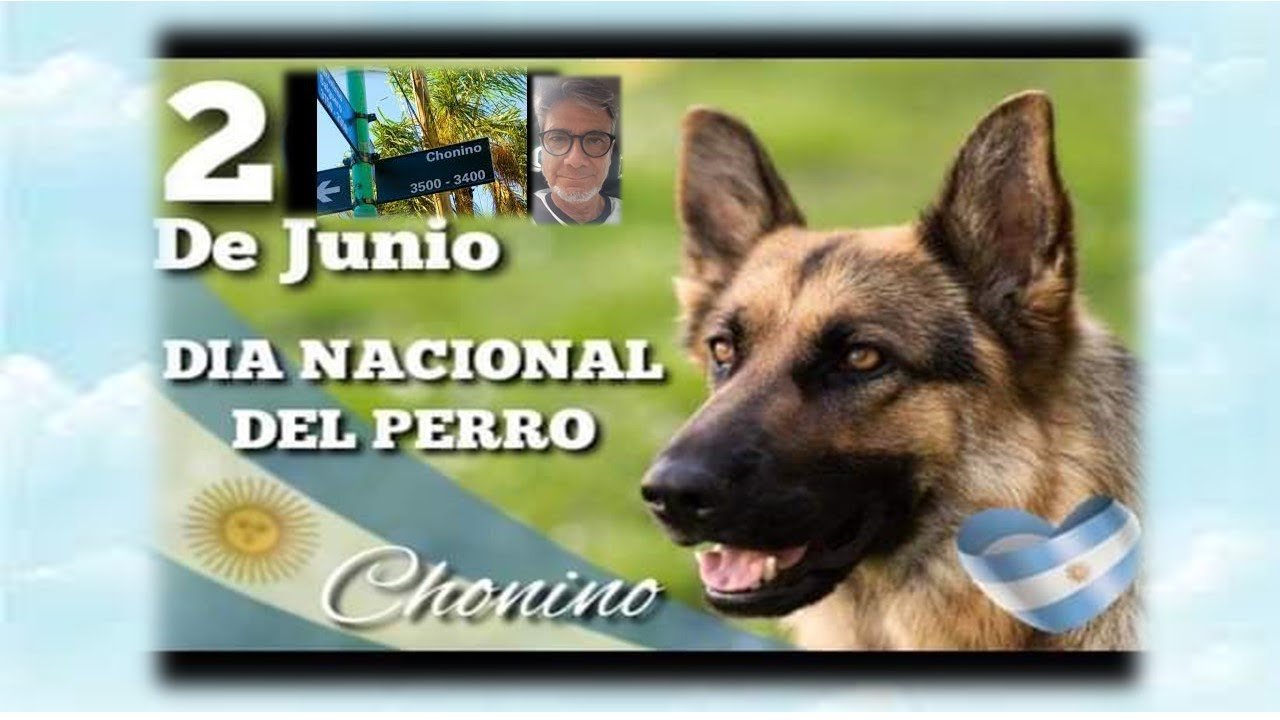 Día Nacional del Perro en El Cronista, Información General