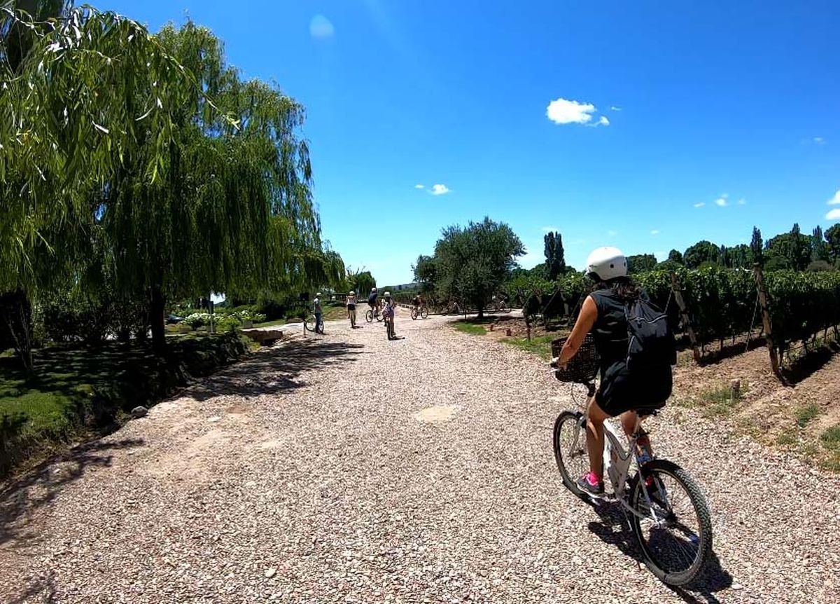 Los Caminos del Vino en Descubre, Mendoza