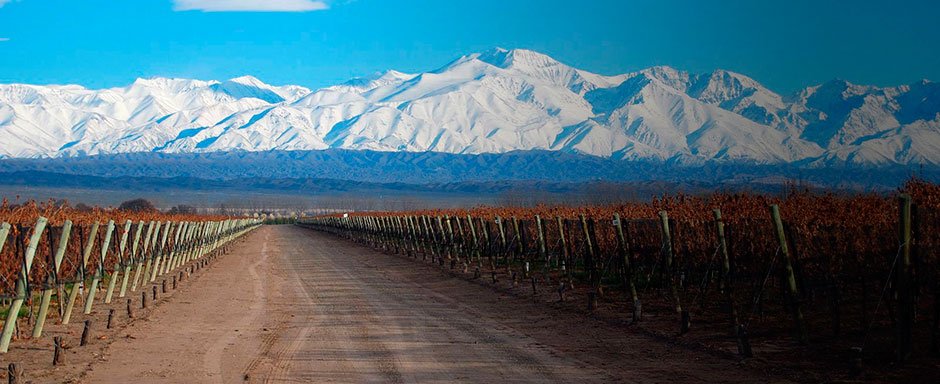 Rutas del Vino en Mendoza en Explora, Este