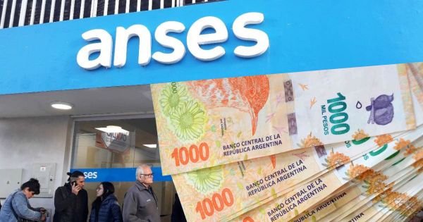Una mala de ANSES en El Cronista, Economía