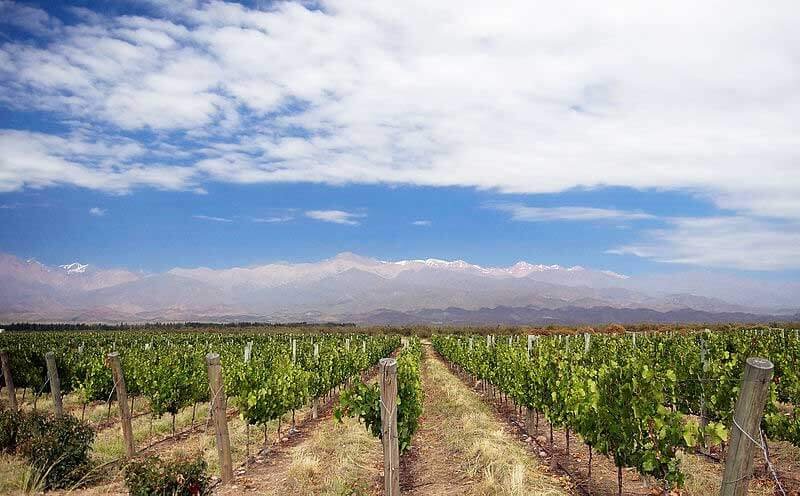 Rutas de Vino en Explora, Mendoza