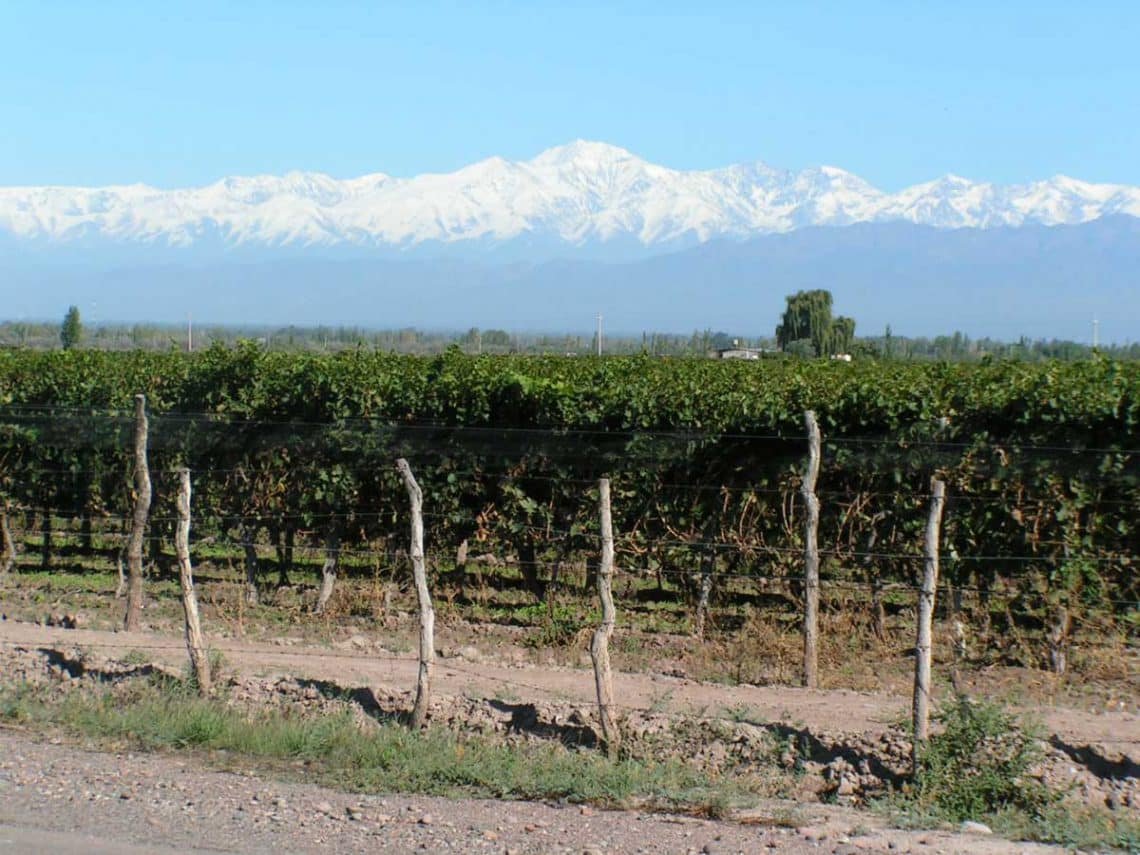 Rutas del Vino en Explora, Mendoza