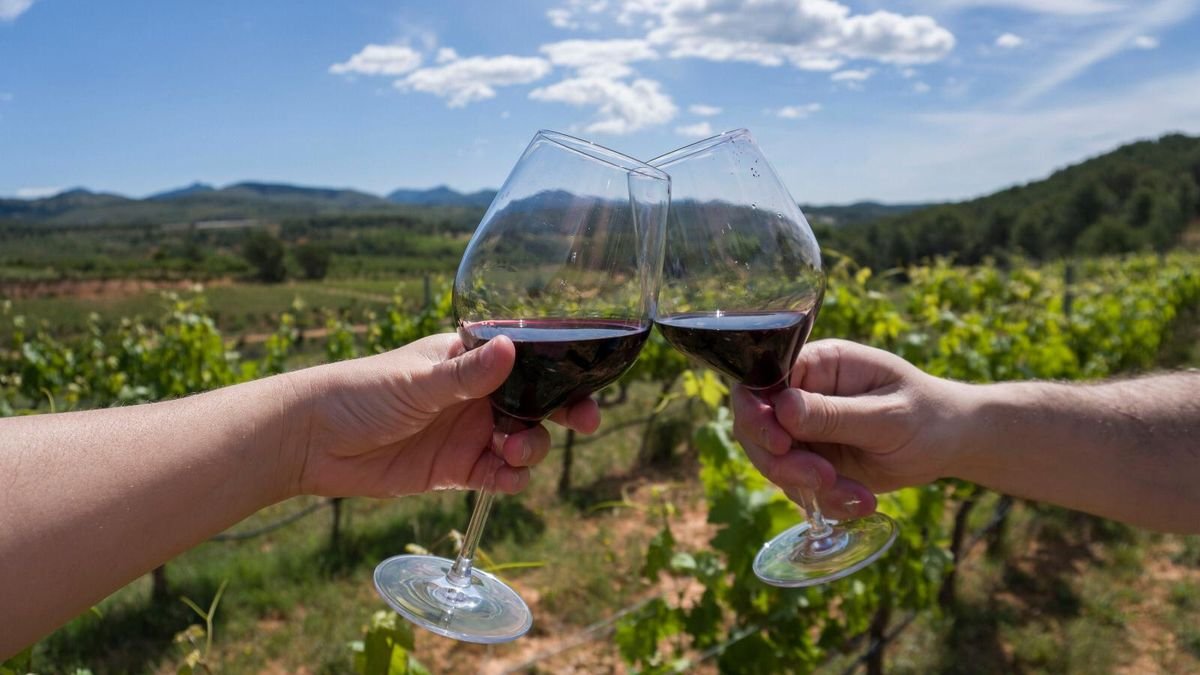 Rutas del Vino en Explora, Mendoza