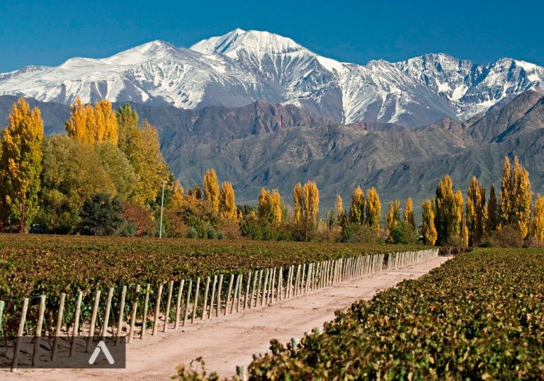 Rutas del Vino en Descubre, Mendoza