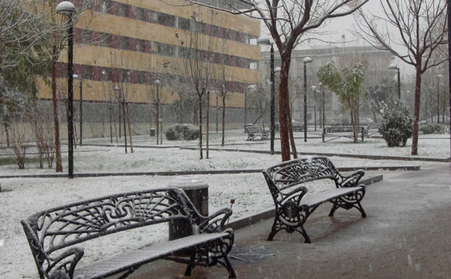 Nieve en Buenos Aires en El Cronista, Información General