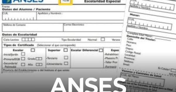 Ultimátum de ANSES en El Cronista, Información General