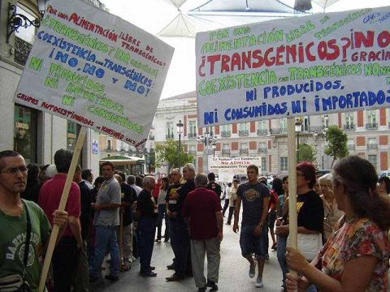 Qué implica la vuelta de la moratoria y qué chances tiene de ser aprobada en el Senado en El Cronista, Economía