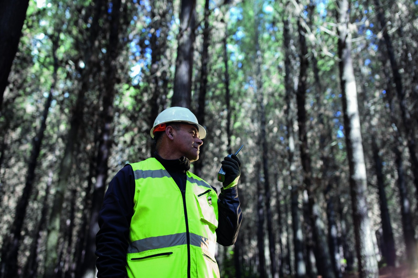 Fresa promueve las industrias forestales en el nordeste en El Cronista, Negocios