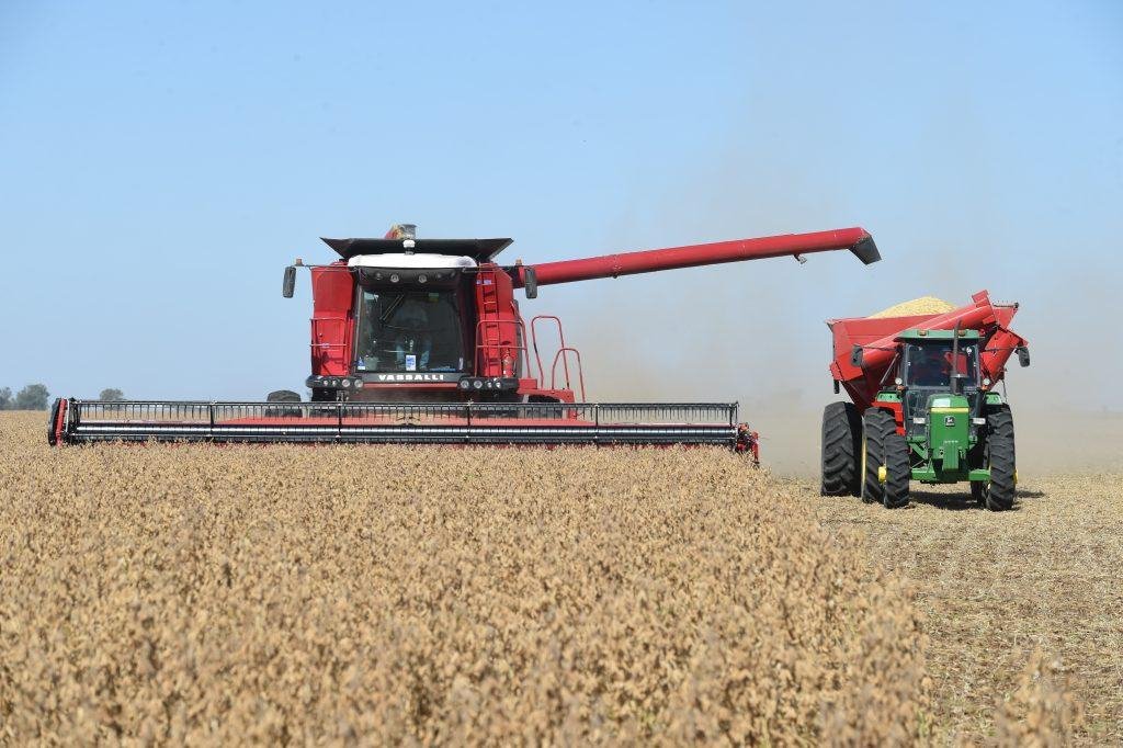 Un sector clave del agro proyecta campaña récord y prevé un aluvión de dólares en El Cronista, Economía