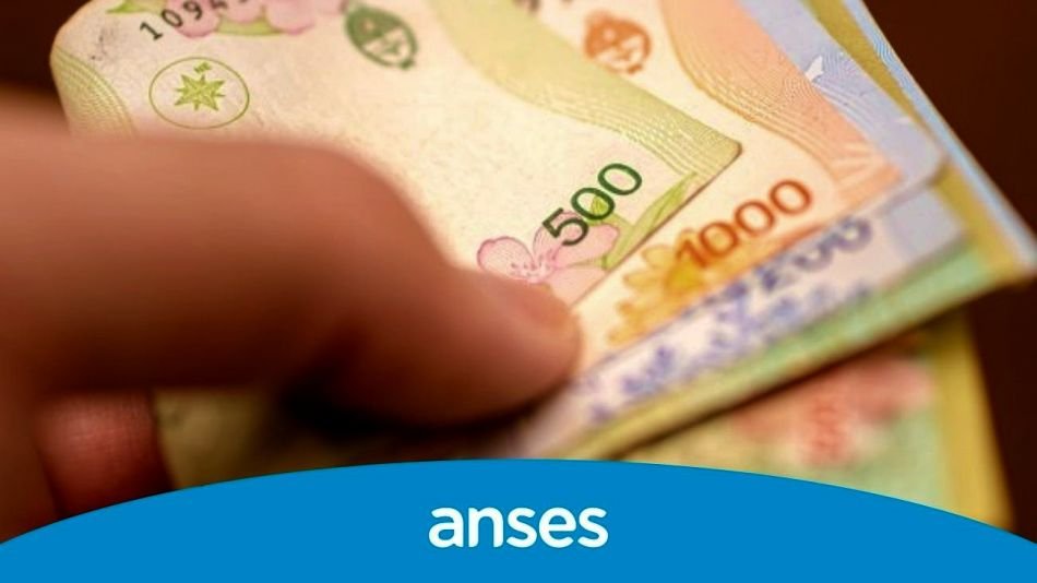 Una buena de ANSES en El Cronista, Economía