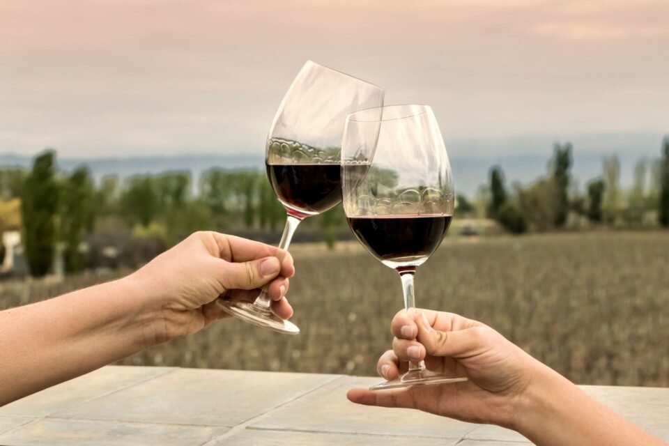 Rutas del Vino en Explora, Mendoza