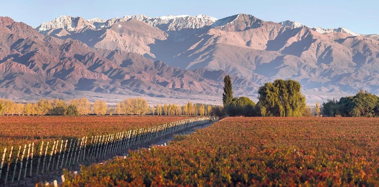 Rutas del Vino en Descubre, Mendoza