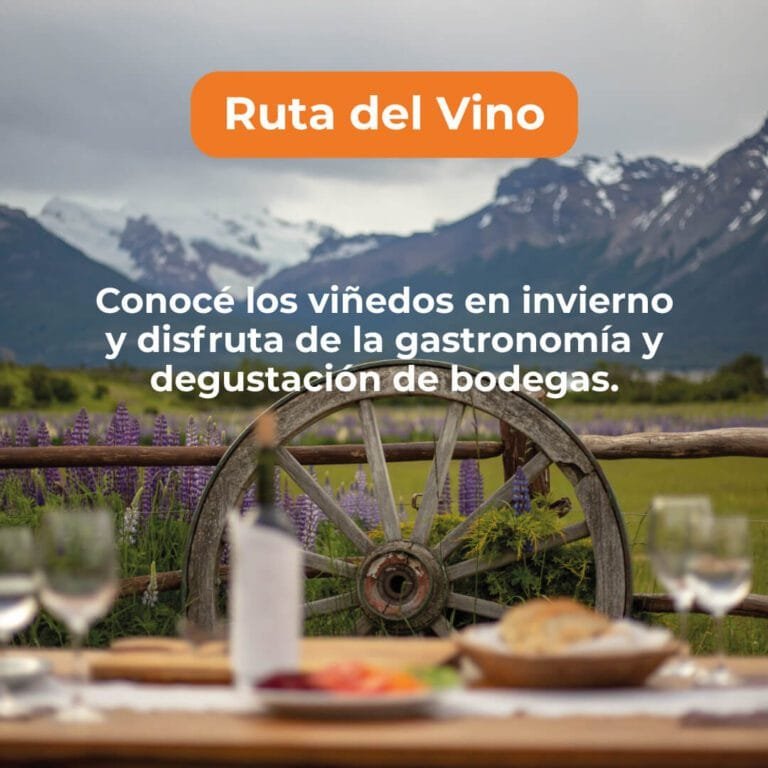 Rutas del Vino en Mendoza en Explora