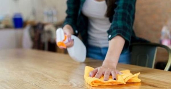 Empleadas domésticas en El Cronista, Economía