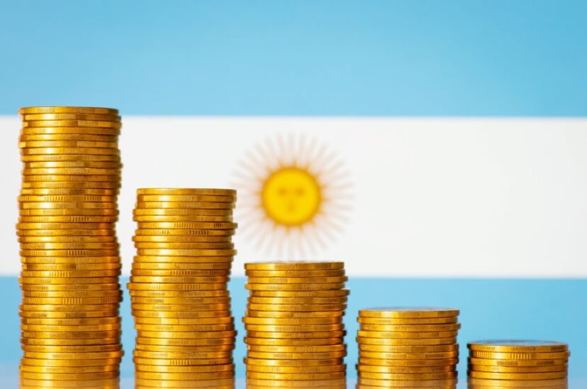 Elecciones 2025 en El Cronista, Economía