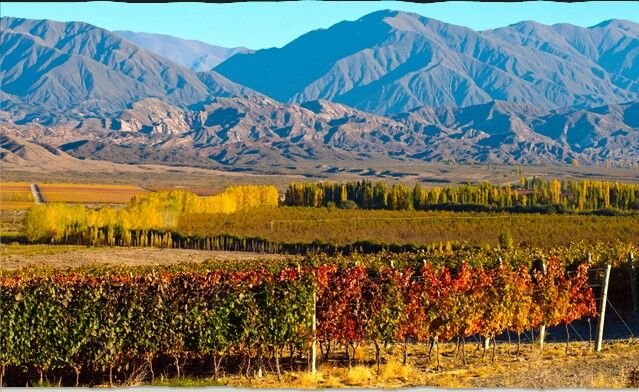 Rutas del Vino en Mendoza en Explora, Andes