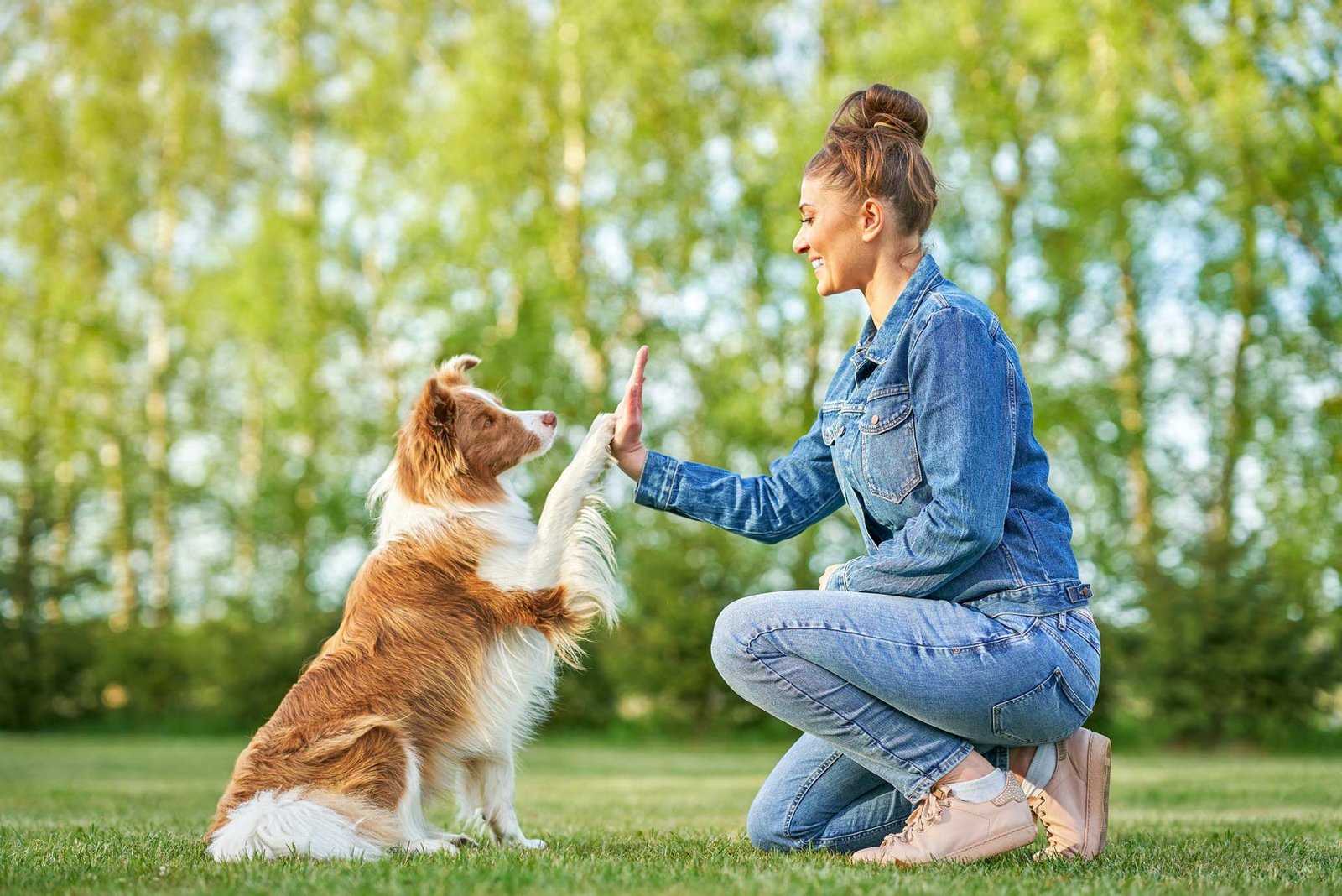 Imagen de Entrenar canarios en Buenos Aires mejora la relación entre dueño y mascota exótica. en Argentina