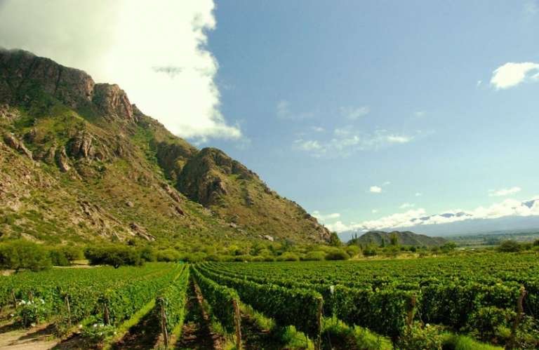 Rutas del Vino en Descubre, Andes
