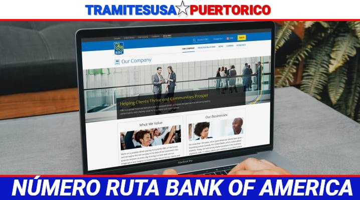 El sector clave al que apuesta el Bank of America para invertir en 2025 en El Cronista, Finanzas