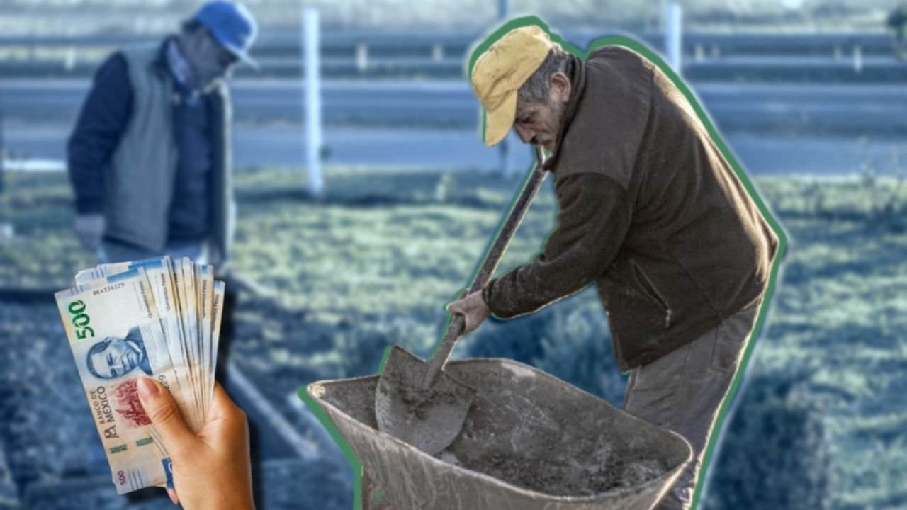 Cuánto gana un albañil en junio 2025 en El Cronista, Economía