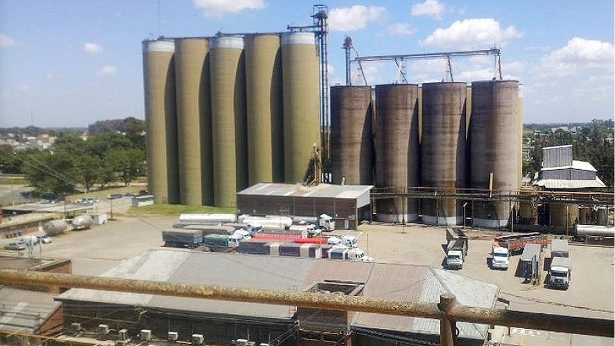Propuesta de Celulosa a sus acreedores para reestructurar una deuda de u$s 128 millones en El Cronista, Negocios