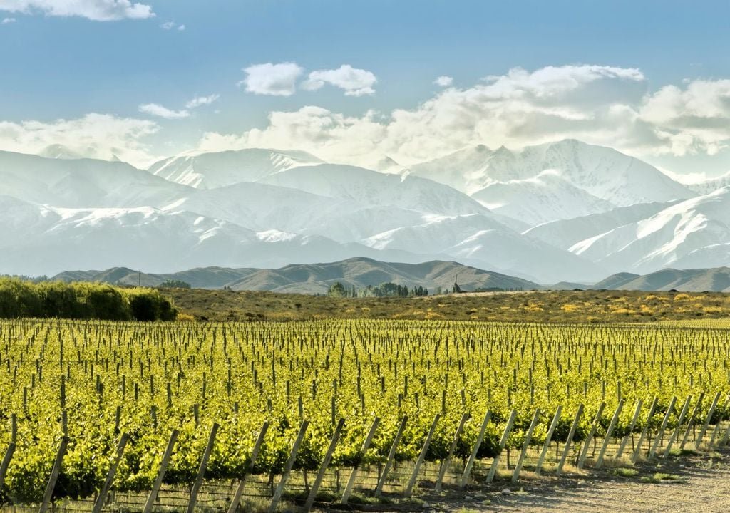 Rutas del Vino en Descubre, Mendoza