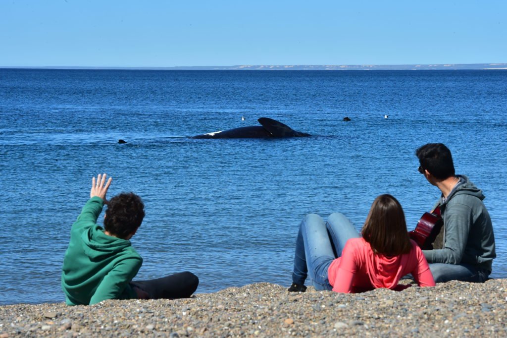 Cuándo comienza la temporada de ballenas en Puerto Madryn y precios de excursiones para las vacaciones de invierno en Grisel Isaac, Grisel
