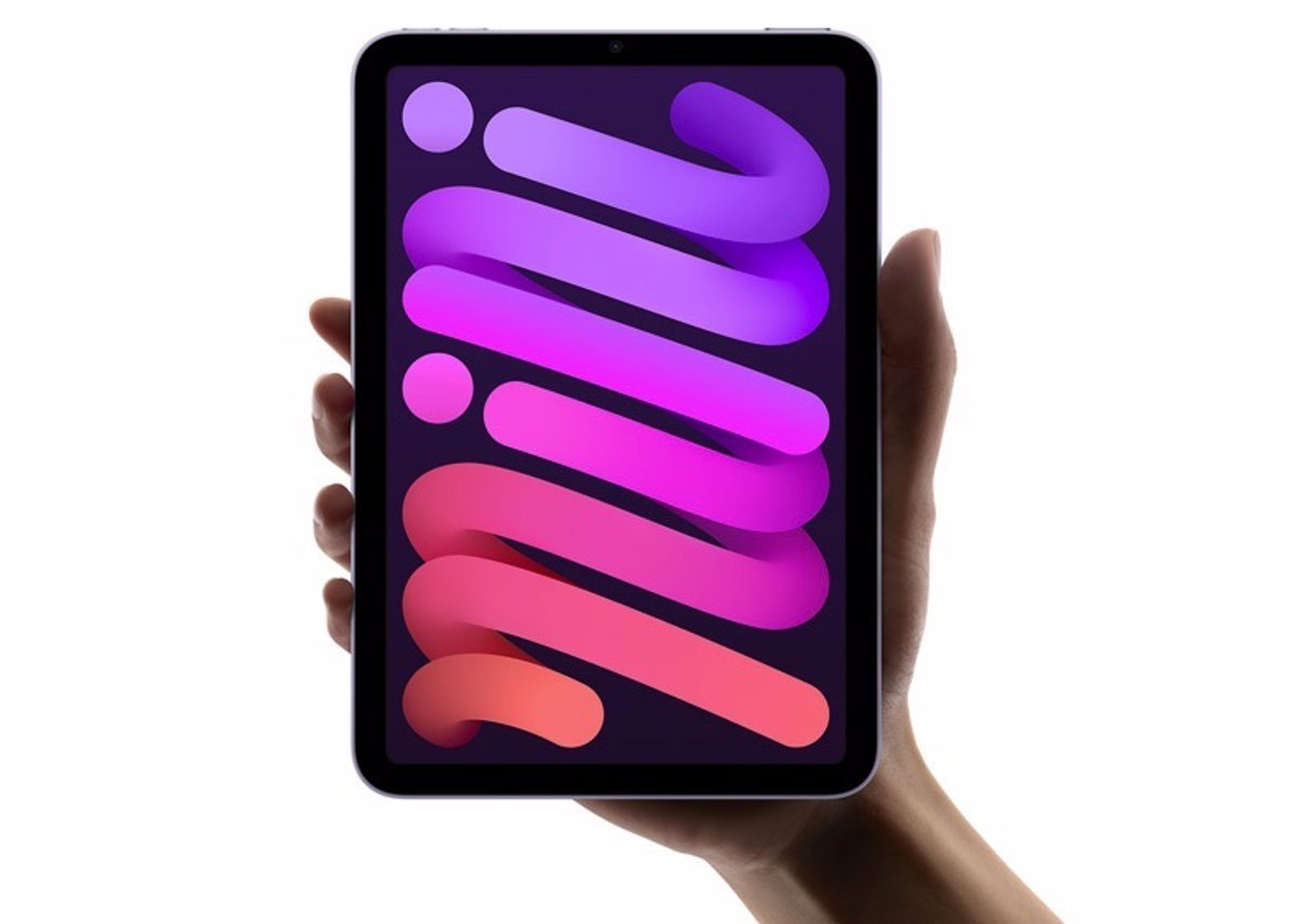 Bocado de Seguridad iPad