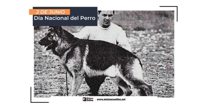 Día Nacional del Perro en El Cronista, Información General