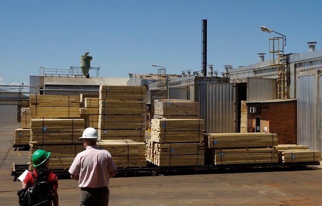 Imagen relacionada con Crisis foresto-industrial en Misiones: mercado interno deprimido por 18 meses, afectando ventas.