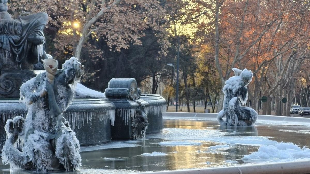 Ola polar en Pablo, Bizón