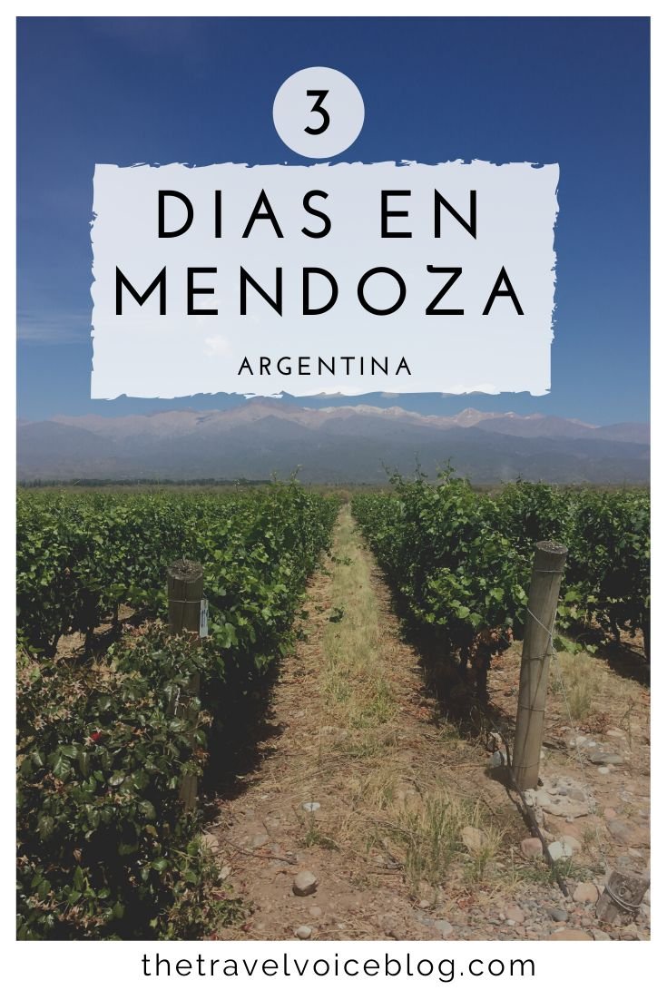 Rutas del Vino en Explora, Mendoza