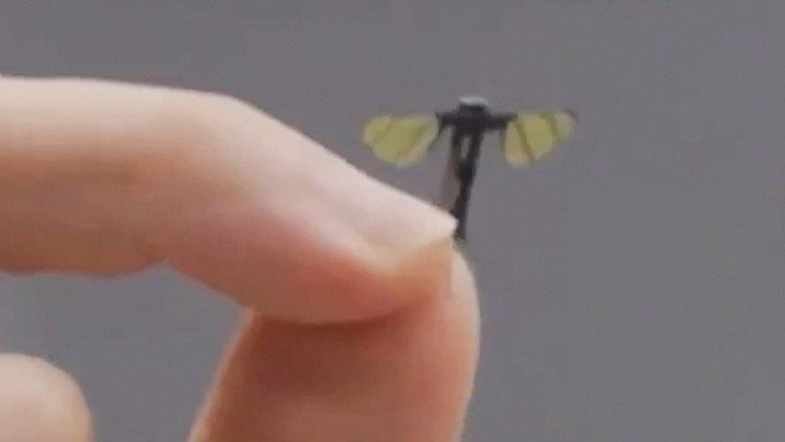 El minúsculo dron fue diseñado para tareas de reconocimiento en el campo de batalla (Captura de video).
