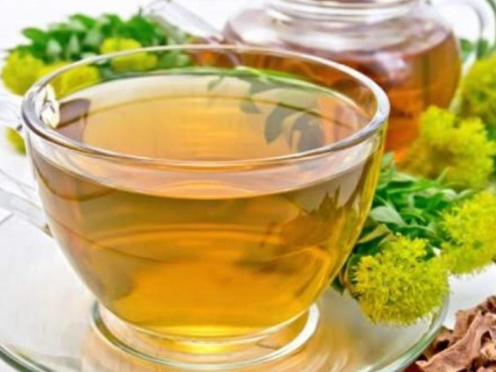 Té de diente de león, ideal para quienes tienen dietas bajas en fibra.
