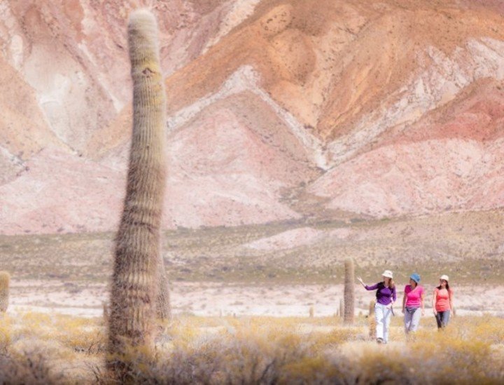Para quienes disfrutan del senderismo, La Poma tiene una gran cantidad de rutas para explorar, algunas de las cuales conducen a paisajes impresionantes. Foto: visitsalta.ar.