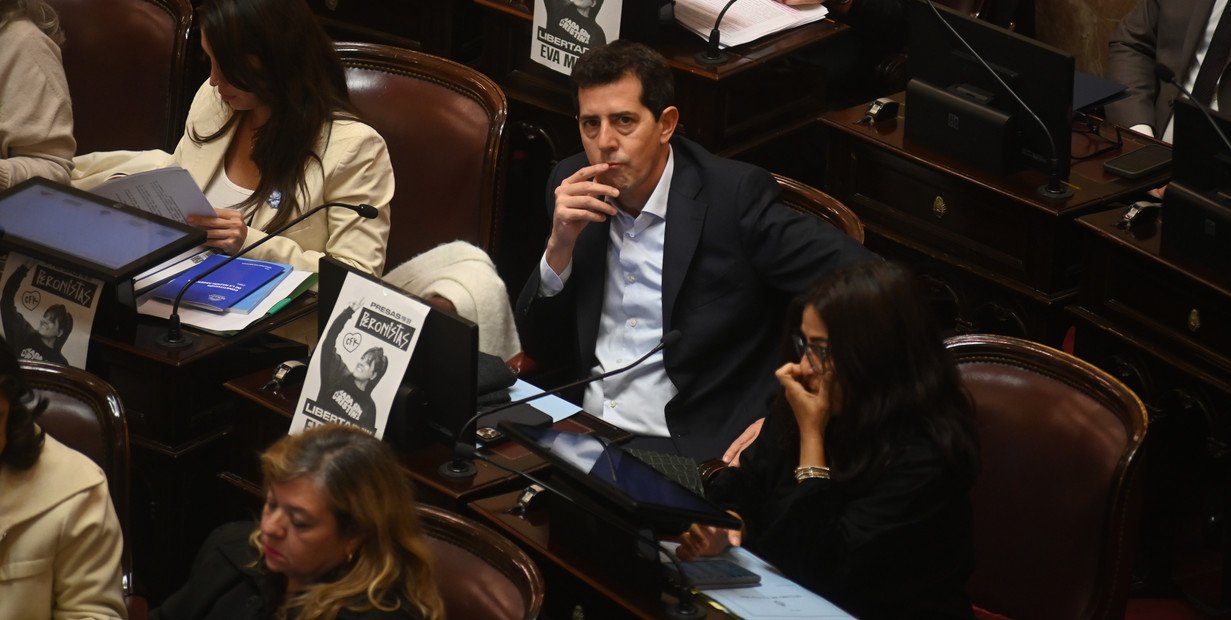 Senado. Eduardo "Wado" de Pedro. Foto: Federico López Claro