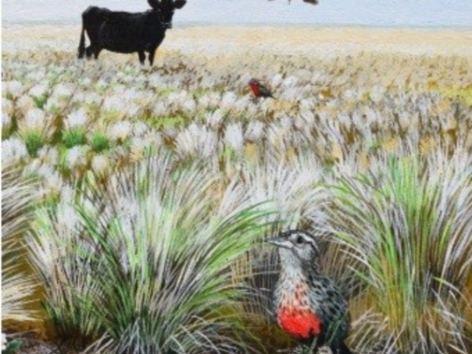 La coexistencia entre ganadería y conservación en el corazón pampeano Durante la reciente Exposición Rural de Palermo 20... Descubre más sobre destacó, ciuda...