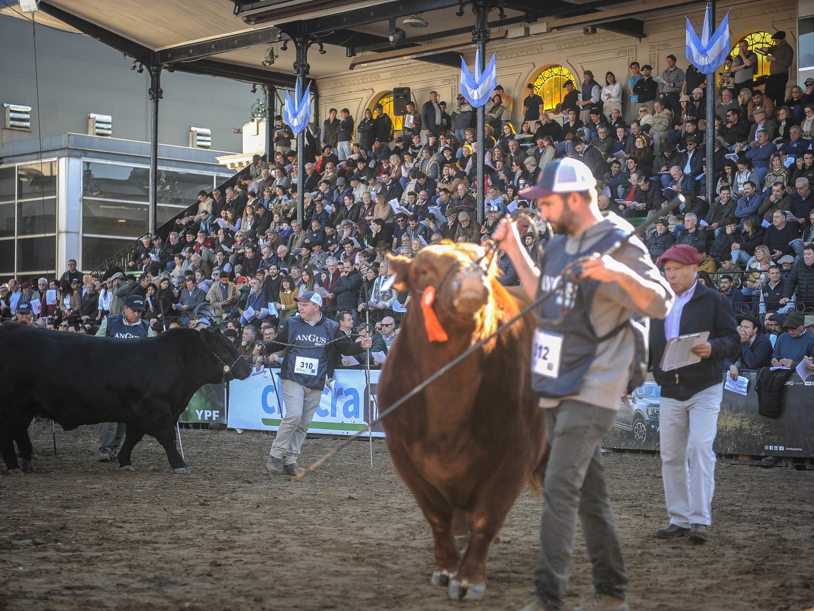 Un Año de Innovación y Tradición en la Muestra Agropecuaria Más Esperada La 137° Exposición de Ganadería, Agricultura e ... Descubre más sobre agricultura, j...