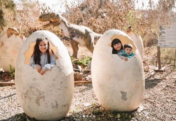 El parque ofrece una experiencia jurásica que combina diversión y aprendizaje sobre los dinosaurios y su historia. Foto: Instagram @municipiopilar.