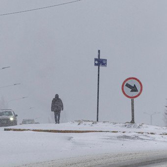 Una intensa nevada en la cordillera de Neuquén obligó a cerrar rutas: un criancero murió en un paraje de Chos Malal