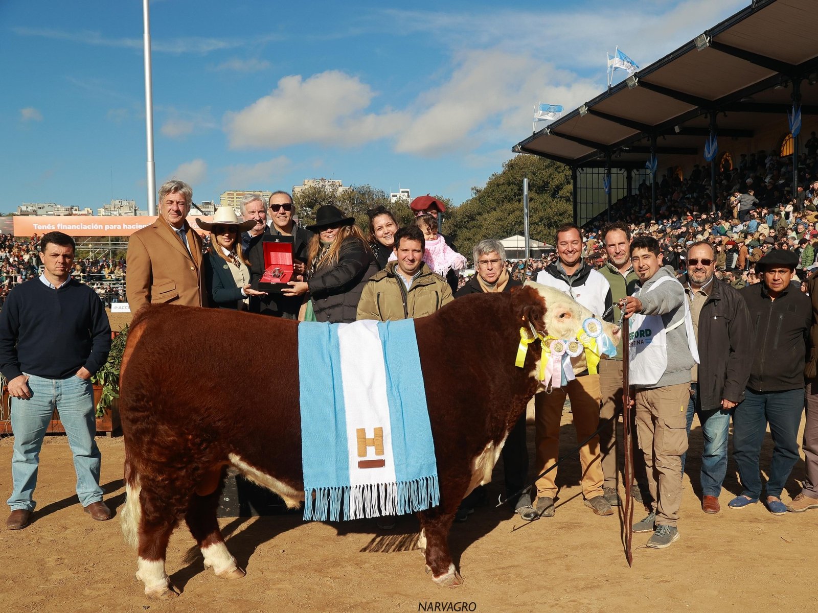  Un hito en la ganadería argentina: la destacada participación de Don Benjamín En una jornada que celebró la excelen... Descubre más sobre pigmentación, ...