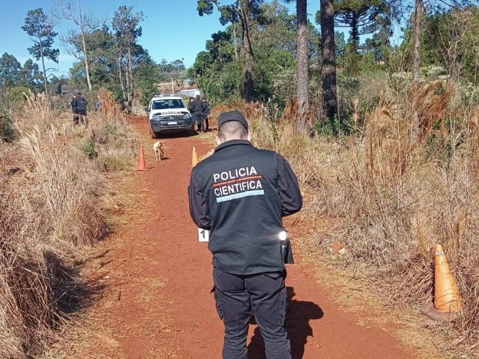  Un brutal hallazgo conmociona a la comunidad de Misiones La tranquila localidad de San Vicente se ha visto sacudida... Descubre más sobre mutilado, rode...